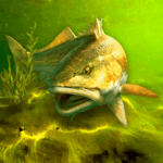 My Fishing World Mod APK 1.15.14 [Unlimited Gold][Unlimited Silver][VIP Unlocked][Permanent VIP]